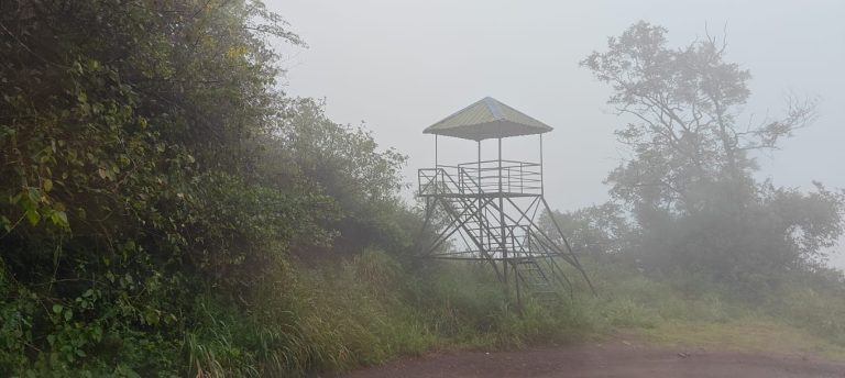Kemmannugundi Hill Resort Jungle Lodges 11 768x344