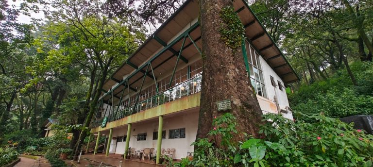 Kemmannugundi Hill Resort Jungle Lodges 12 768x344