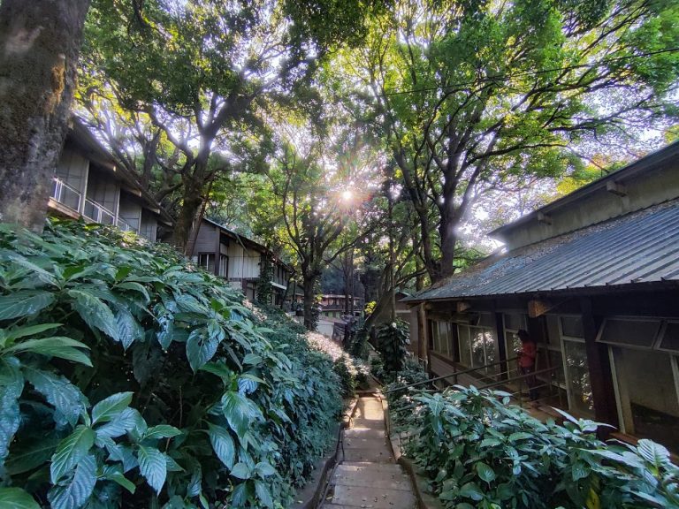 Kemmannugundi Hill Resort Jungle Lodges 2 768x576