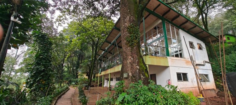 Kemmannugundi Hill Resort Jungle Lodges 20 768x344