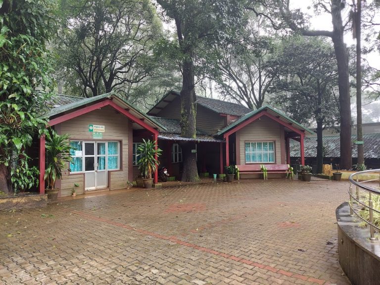 Kemmannugundi Hill Resort Jungle Lodges 3 768x576