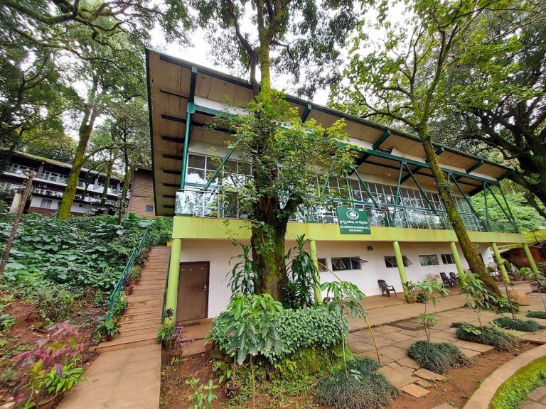 Kemmannugundi Hill Resort Jungle Lodges 5 768x576