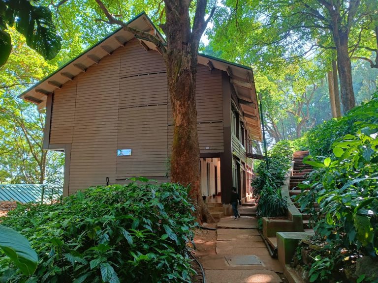 Kemmannugundi Hill Resort Jungle Lodges 6 768x576