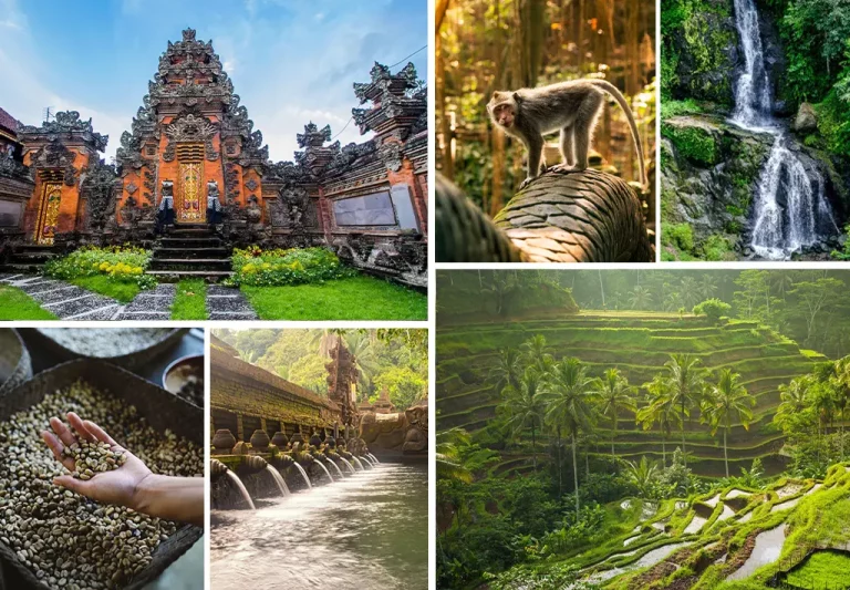 Magical Bali 7 Days Tour Package 1 768x533
