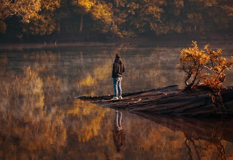 Old Magazine House Resort Jungle Lodges in Dandeli 1 768x528