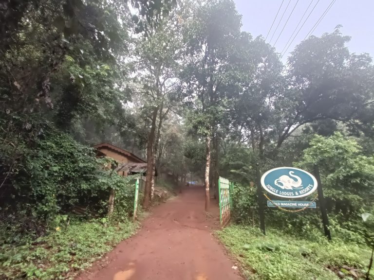 Old Magazine House Resort Jungle Lodges in Dandeli 13 768x576