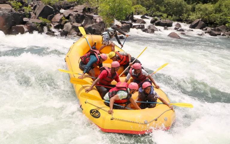 Old Magazine House Resort Jungle Lodges in Dandeli 2 768x483