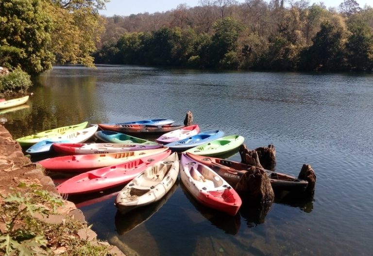 Old Magazine House Resort Jungle Lodges in Dandeli 2 768x528