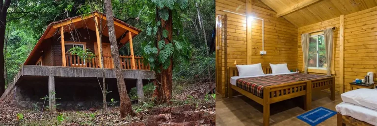 Old Magazine House Resort Jungle Lodges in Dandeli 4 768x258