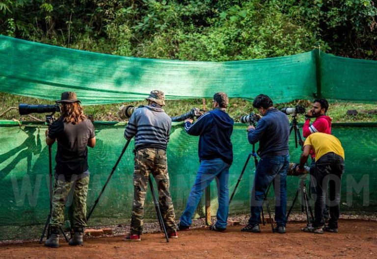 Old Magazine House Resort Jungle Lodges in Dandeli 4 768x528