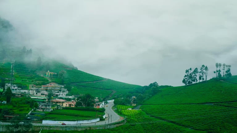 Ooty Tour Package 768x432