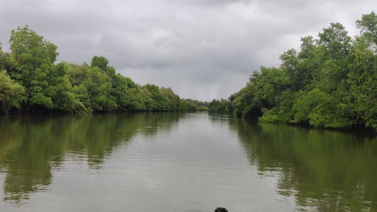 Sadashivgad Sea View Resort Jungle Lodges 8 768x432