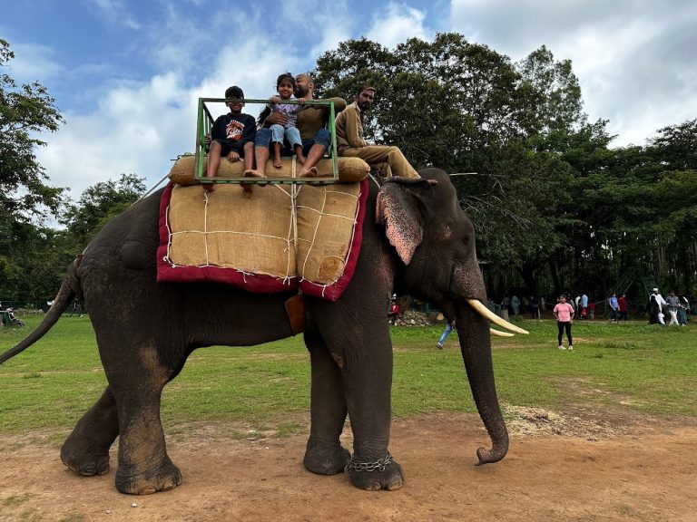 Sakrebyle Elephant Camp Jungle Lodges and Resorts 12 768x576