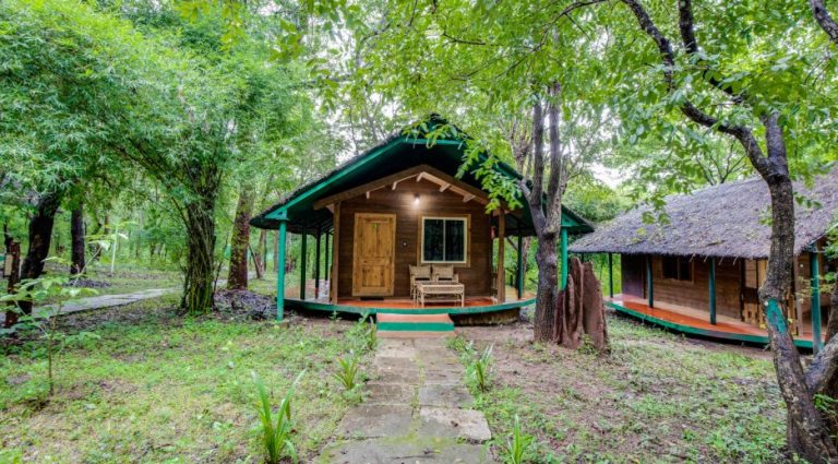 Sakrebyle Elephant Camp Jungle Lodges and Resorts 16 768x425