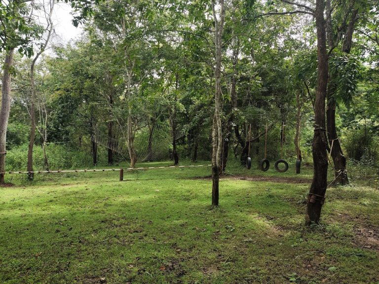 Sakrebyle Elephant Camp Jungle Lodges and Resorts 2 768x576