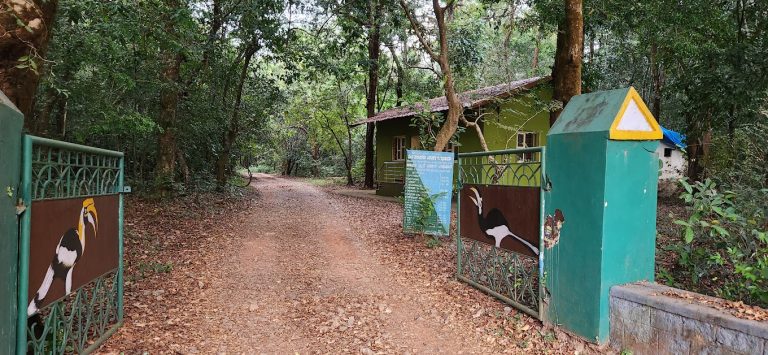 Seethanadi Nature Camp Jungle Lodges in Karkala 1 768x355