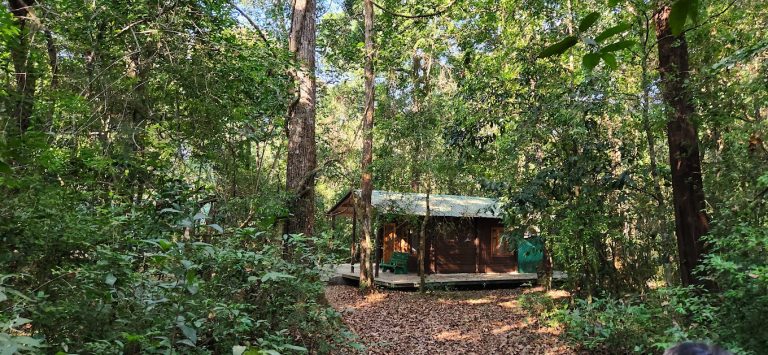 Seethanadi Nature Camp Jungle Lodges in Karkala 12 768x355