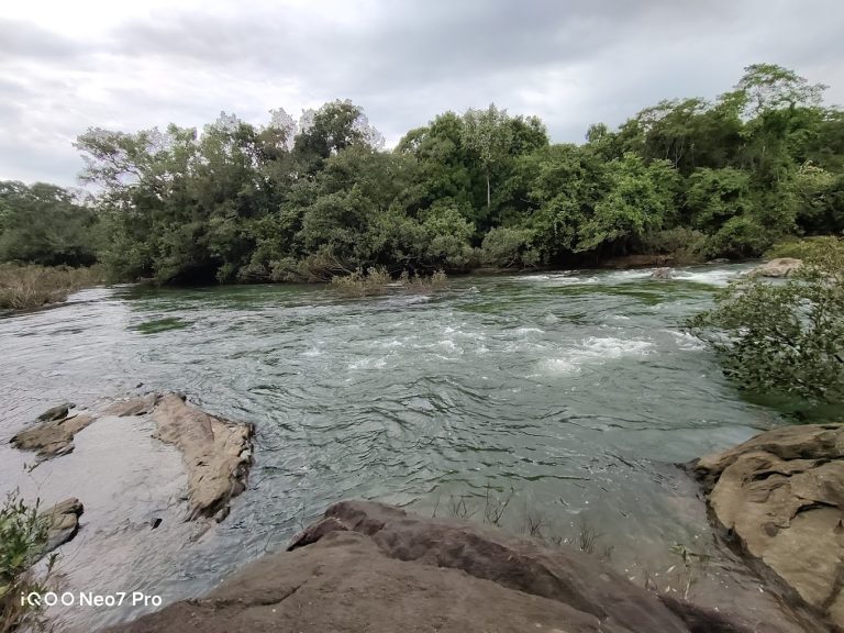 Seethanadi Nature Camp Jungle Lodges in Karkala 13 768x576