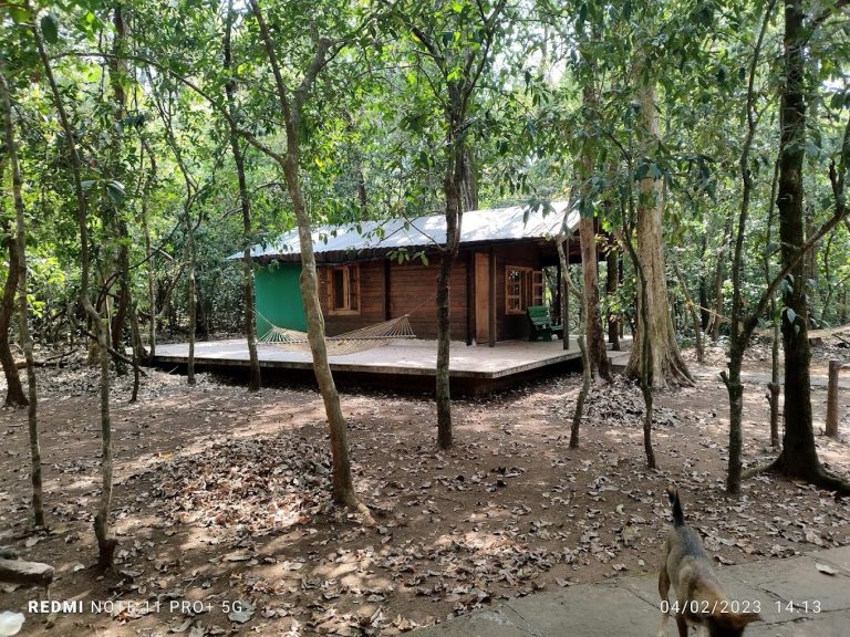 Seethanadi Nature Camp Jungle Lodges in Karkala 21 768x576
