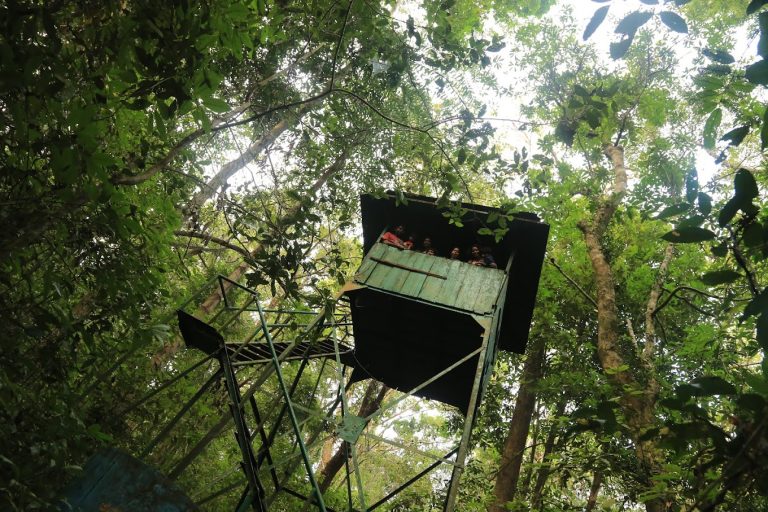 Seethanadi Nature Camp Jungle Lodges in Karkala 6 768x512