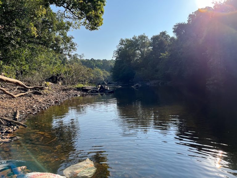 Seethanadi Nature Camp Jungle Lodges in Karkala 7 768x576