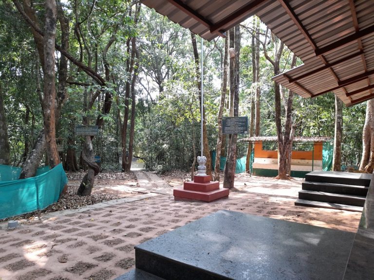 Seethanadi Nature Camp Jungle Lodges in Karkala 9 768x576