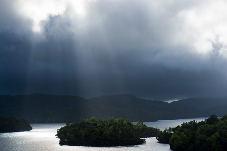 Sharavathi Adventure Camp Jungle Lodges in Jog 20 768x511