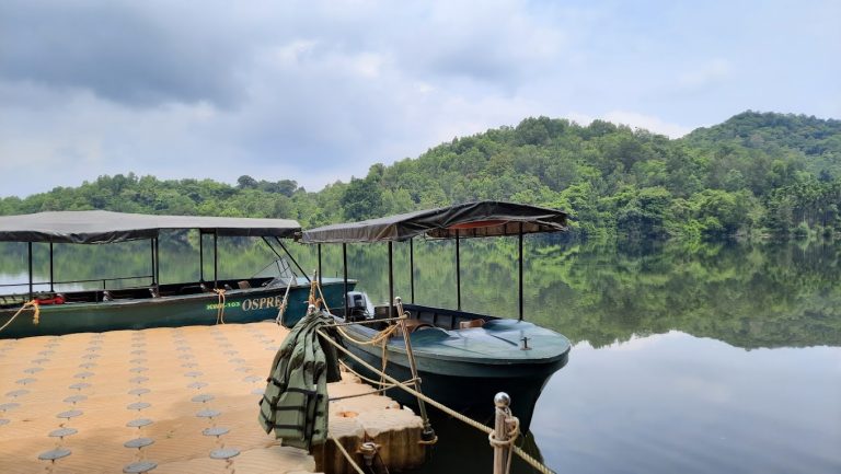 Sharavathi Adventure Camp Jungle Lodges in Jog 8 768x433