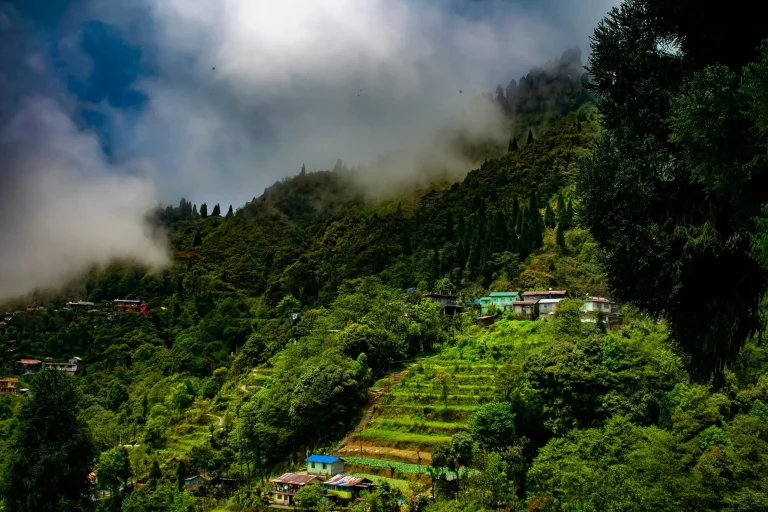 Shillong Guwahati Tour Package 1 768x512