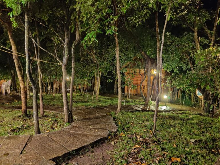 The River Tern Lodge Jungle Lodges Chikmagalur 17 768x576