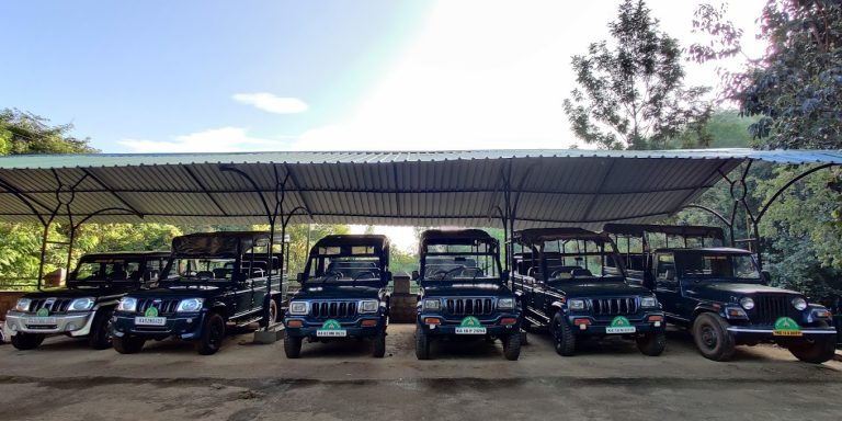 The River Tern Lodge Jungle Lodges Chikmagalur 18 768x384
