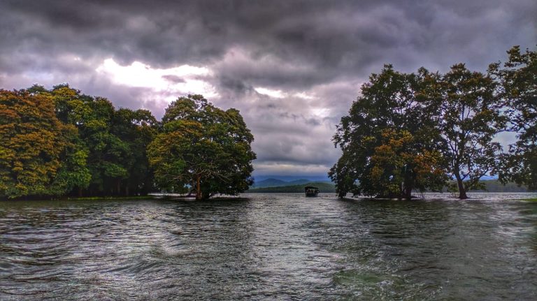 The River Tern Lodge Jungle Lodges Chikmagalur 21 768x431