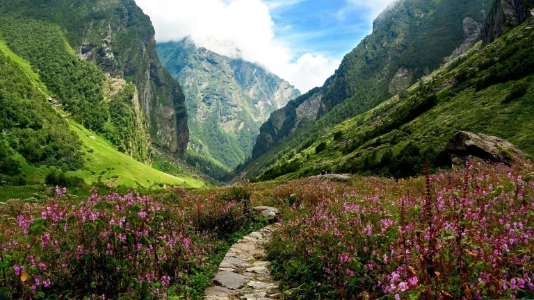 Valley of Flowers Trek in Uttarakhand for Family Groups 768x432