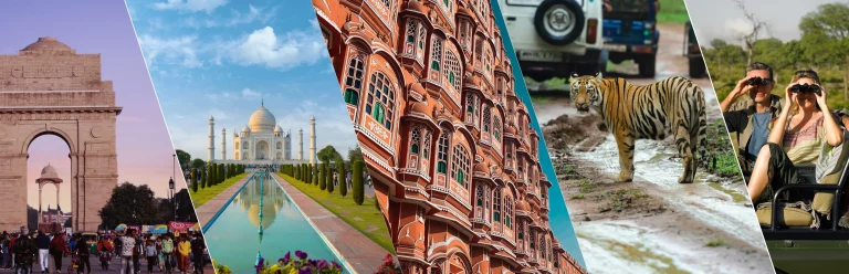 Golden Triangle Tour With Ranthambore 768x248