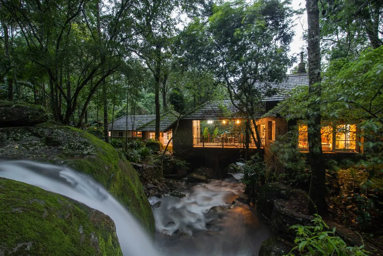 Peaceful Jungle Escape in India