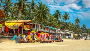 The Ultimate Goa Travel Guide: Everything You Need to Know Before You Go