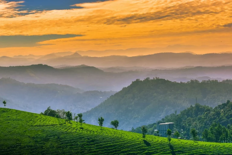 Kerala Package Tour The Green Triangle 4 Nights 5 Days 1 768x512