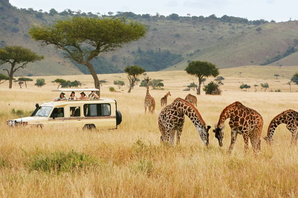 Travel Guide to Kenya: World-leading Safari Destination & Diverse Landscapes