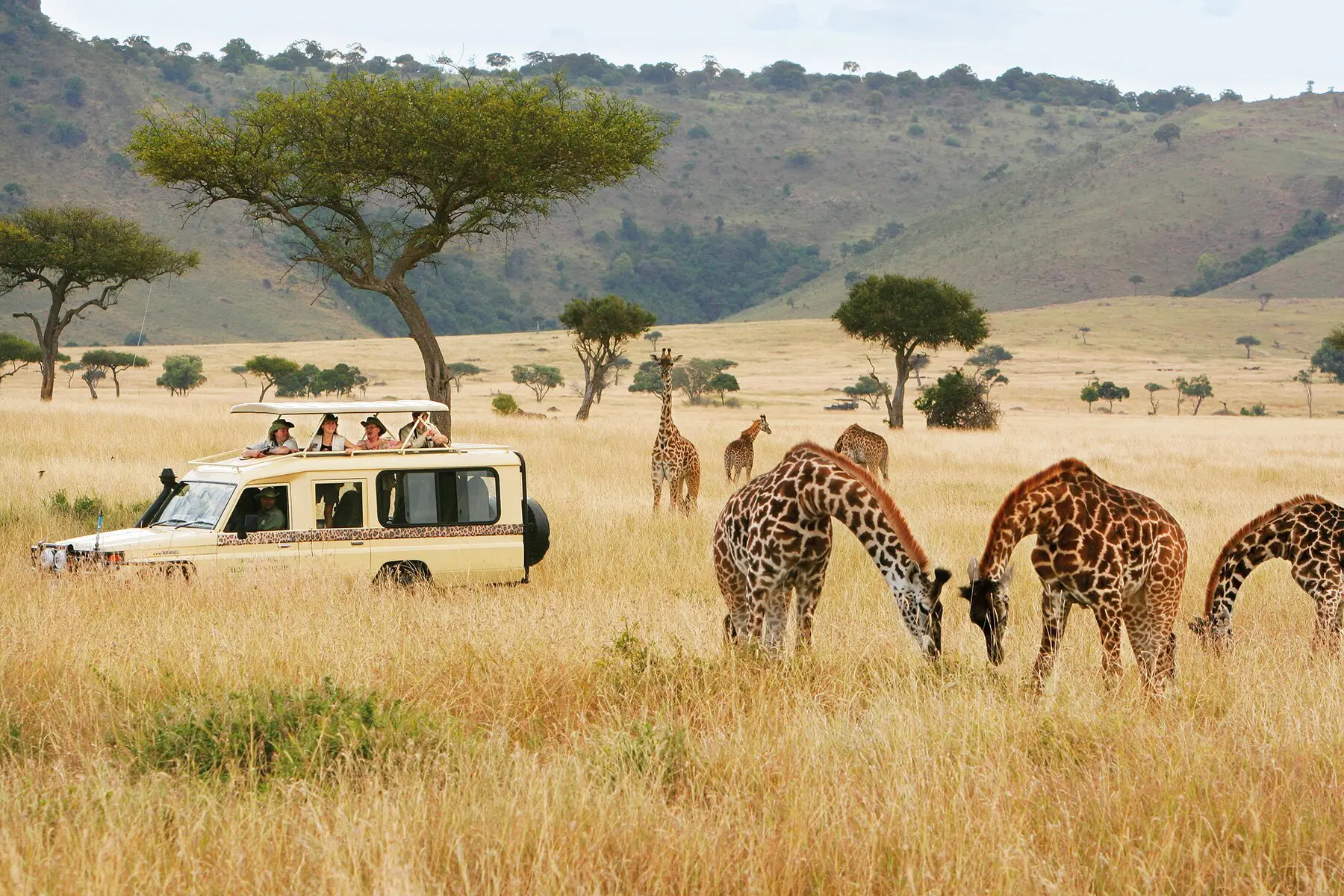 Travel Guide to Kenya