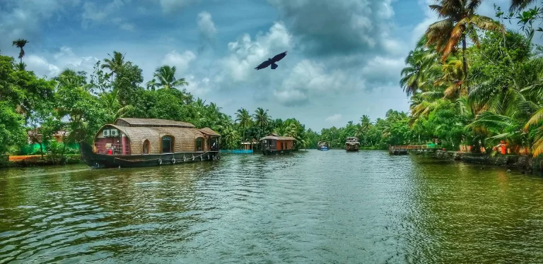 Ultimate Kerala Package Tour 2 768x374
