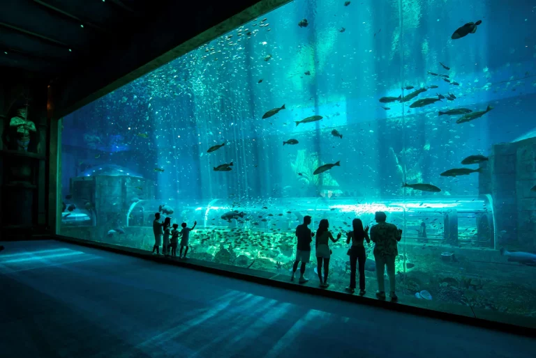 Vietnam Children Package Tour The Pearl Island Phu Quoc 5 1 768x514