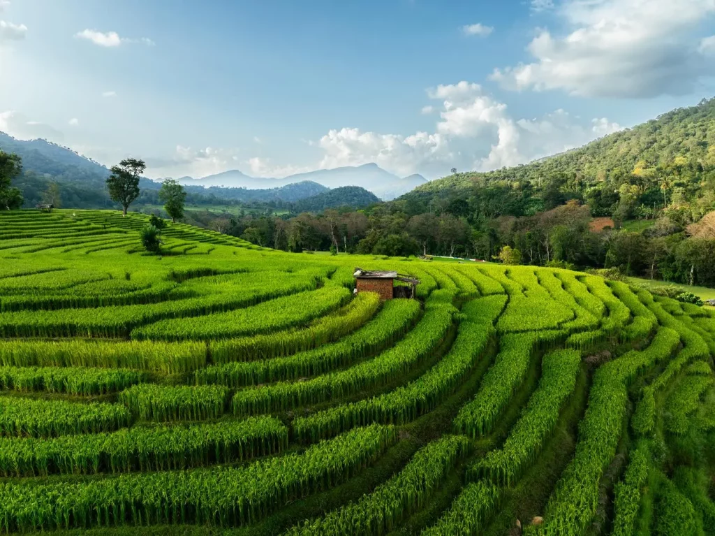 Best Time to Visit Sri Lanka