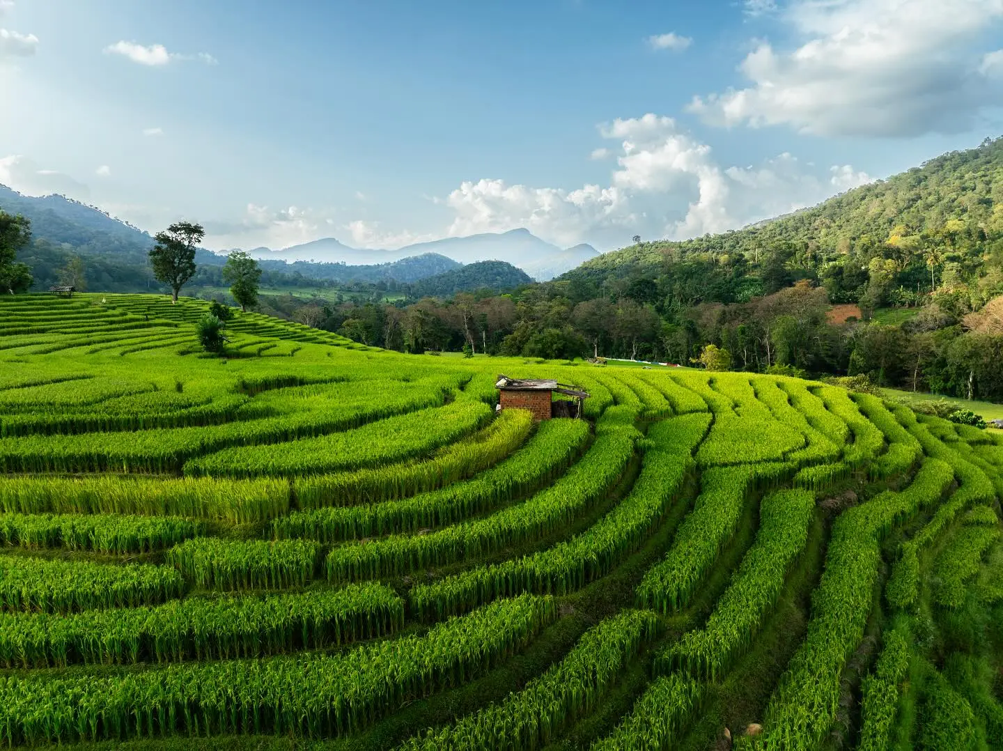 Best Time to Visit Sri Lanka
