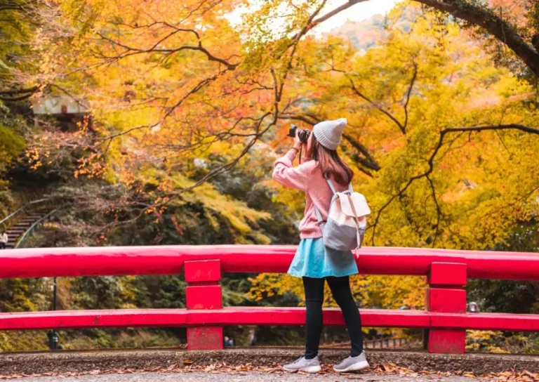 Japan Autumn Group Package Tour 2 768x544