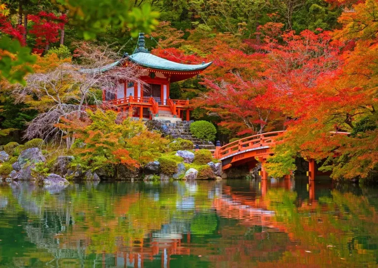 Japan Autumn Group Package Tour 3 768x544