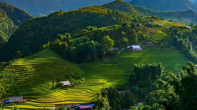 Offbeat Vietnam Package Tour 1 768x432