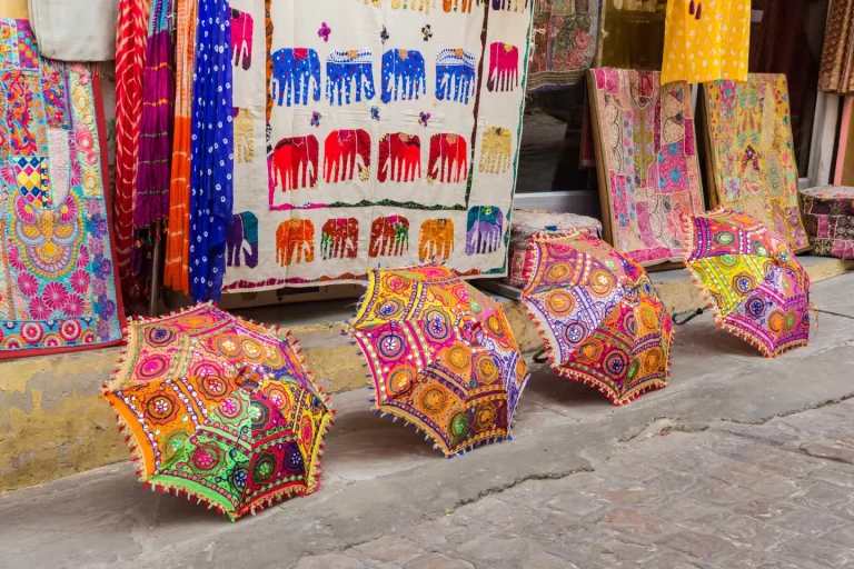 Art Culture Creativity Camp Rajasthan 4 768x512