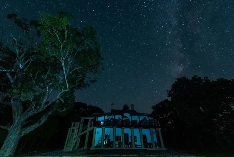 Eco Nature Discovery Camp Jim Corbett National Park 1 768x516