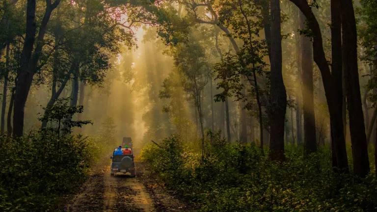 Eco Nature Discovery Camp Jim Corbett National Park 12 768x432