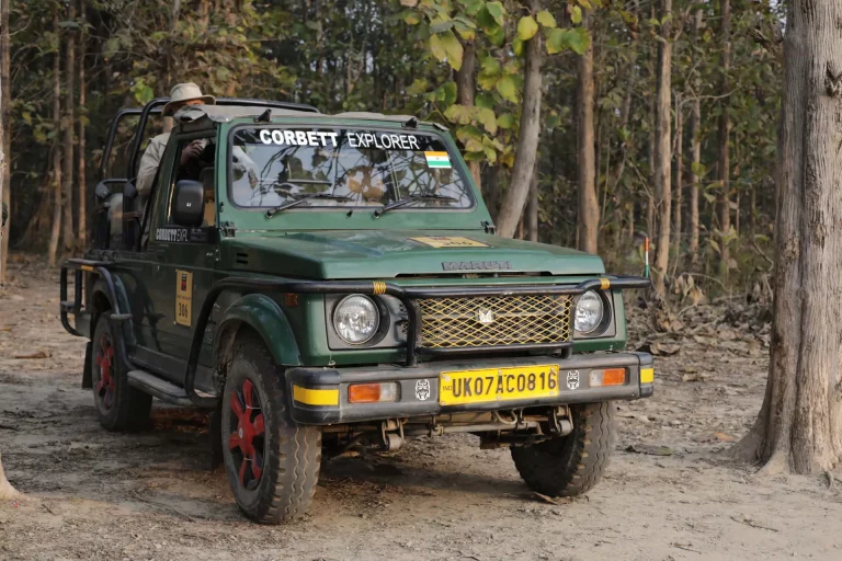 Eco Nature Discovery Camp Jim Corbett National Park 13 768x512